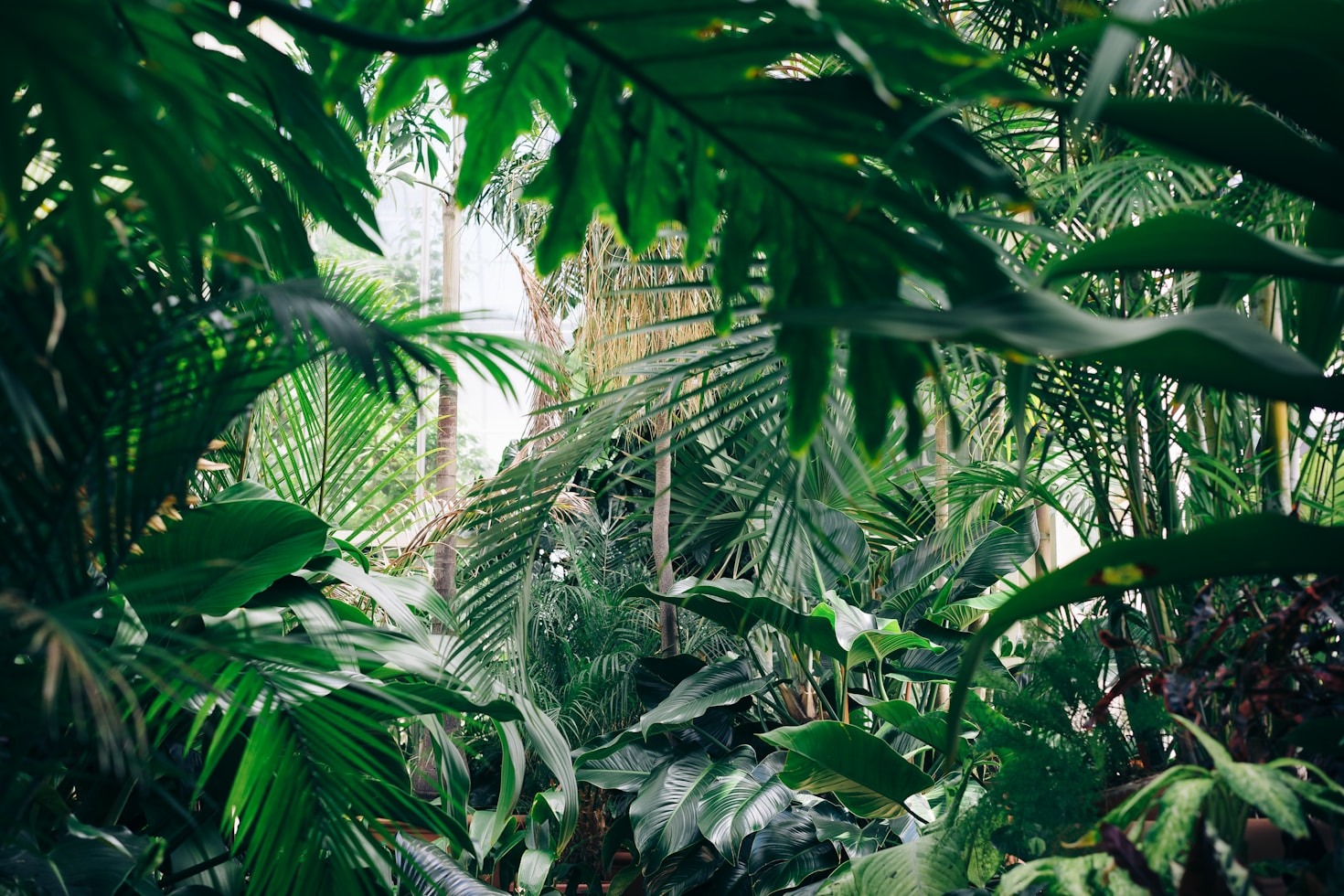 Tendencias en jardinería para espacios pequeños