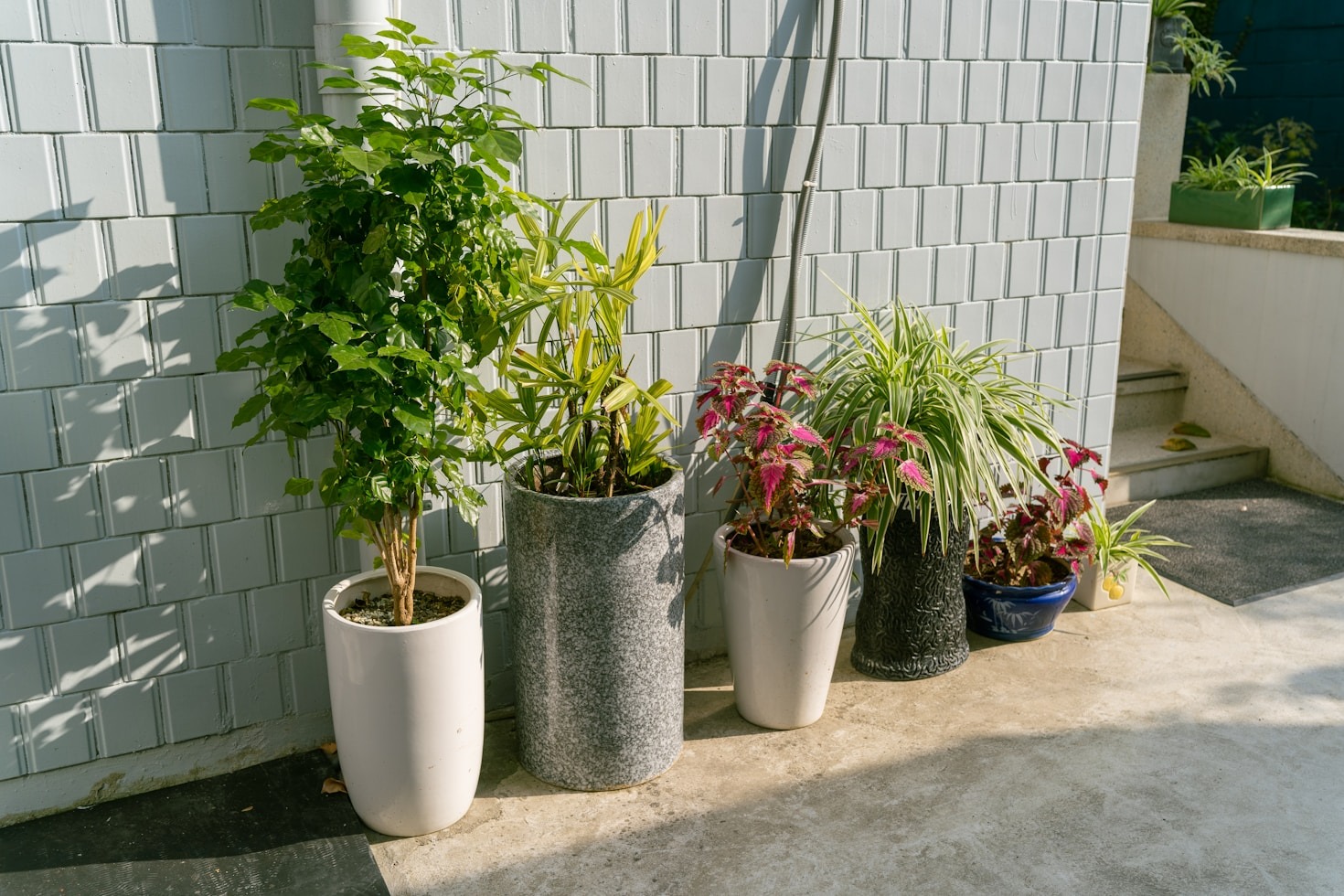 Accesorios de jardinería que facilitan la vida